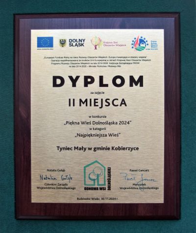 Zdjęcie dyplomu dla Tyńca Małego