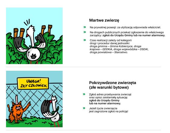Grafika z godzinami wschodów i zachodów Słońca w Tyńcu Małym - marzec 2026r